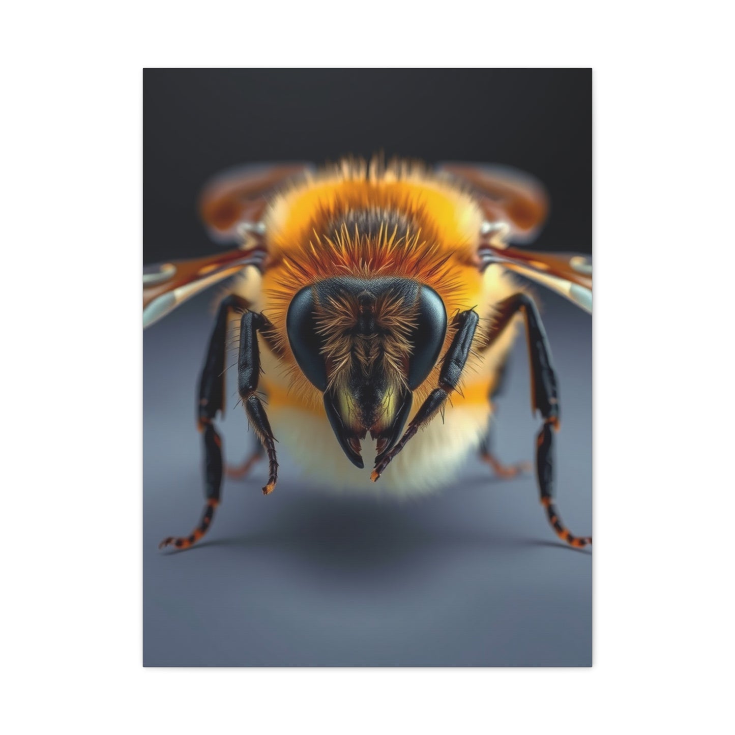 Bees Art Luxury Canvas Wall Art & Canvas Print