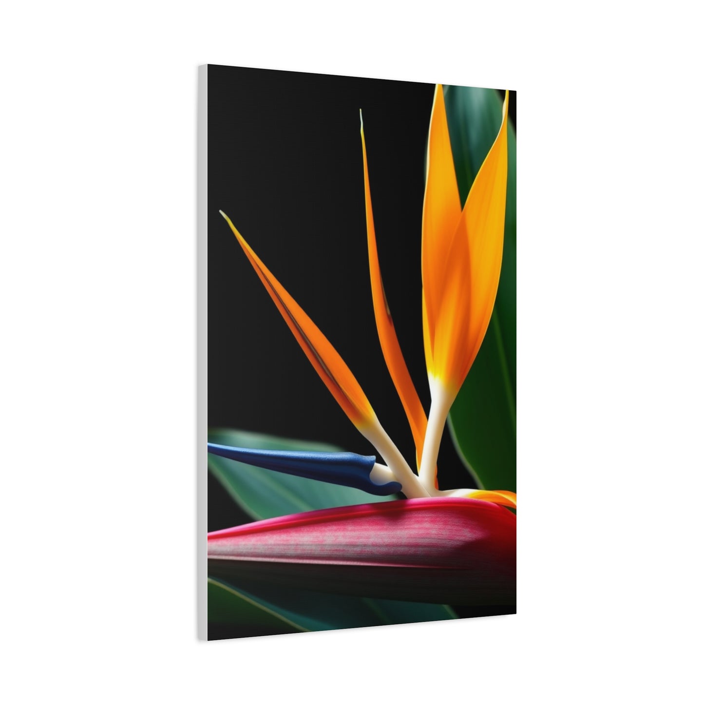 Collection Bird of Paradise Plant Art Art Wall Art & Canvas Print