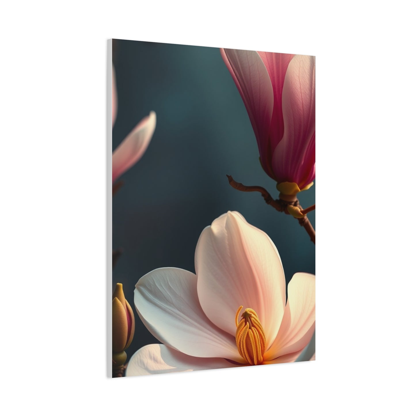 Elite Magnolia Art Vision Wall Art & Canvas Print