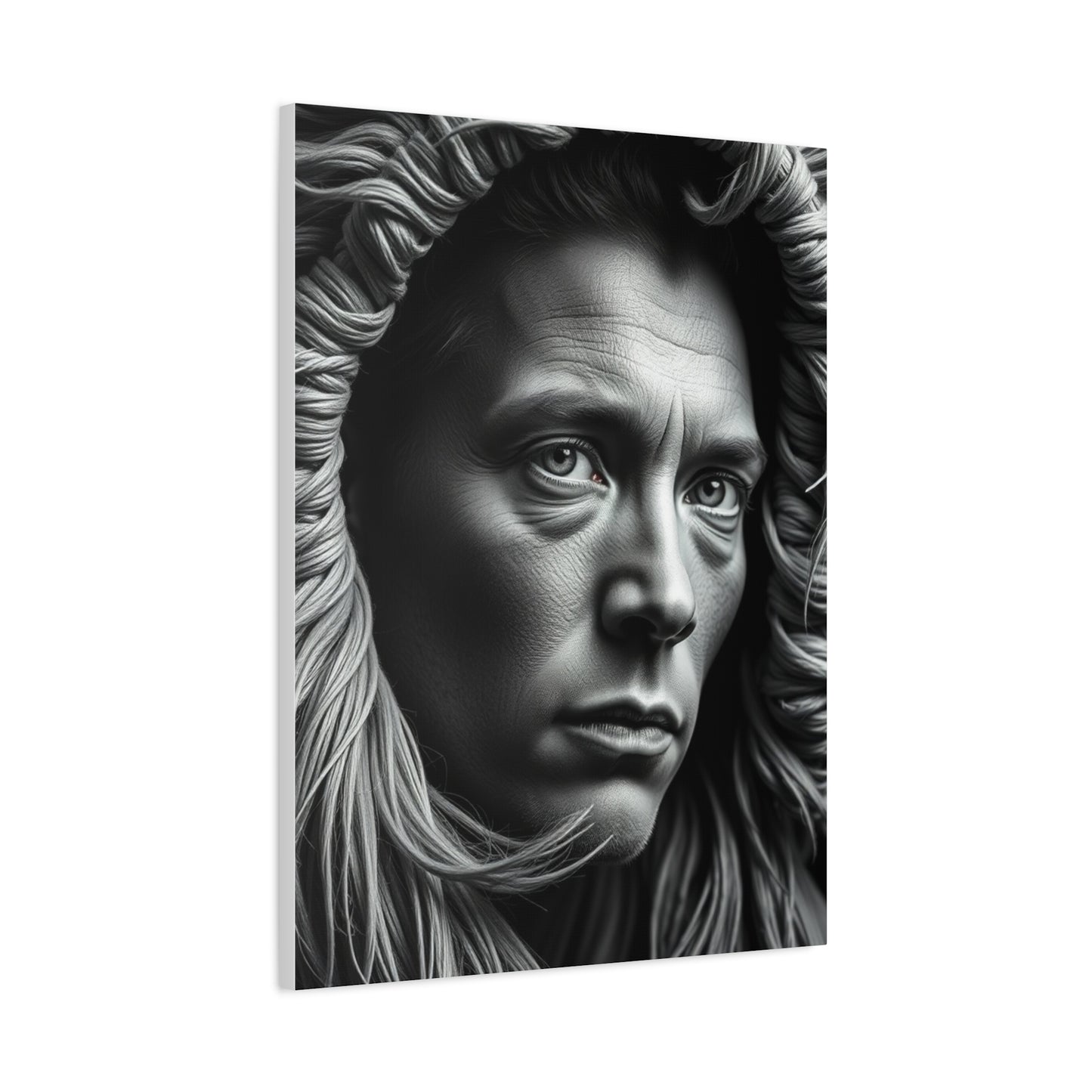 Enchanted Bicolor Canvas Wall Art & Canvas Print