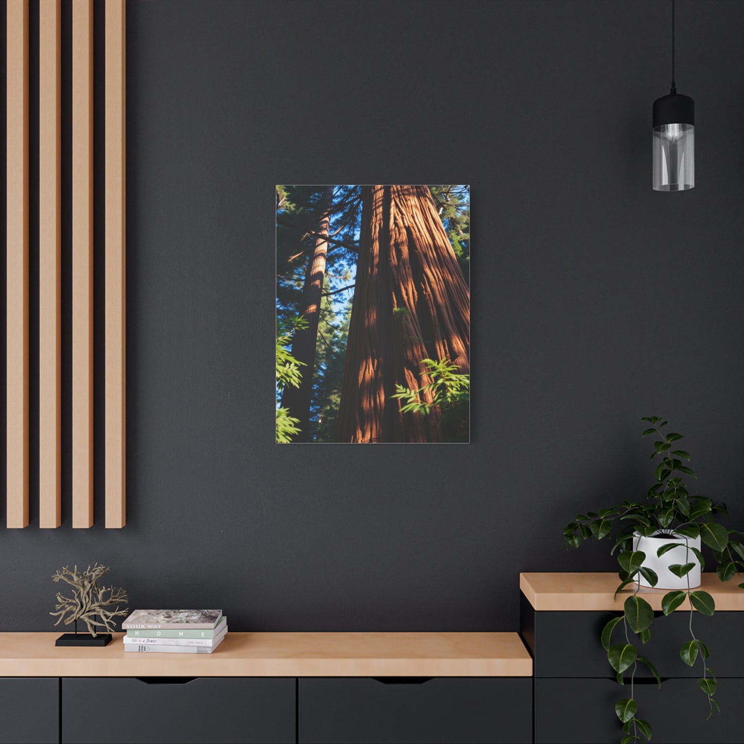 Supreme Redwood Tree Art Collection Wall Art & Canvas Print
