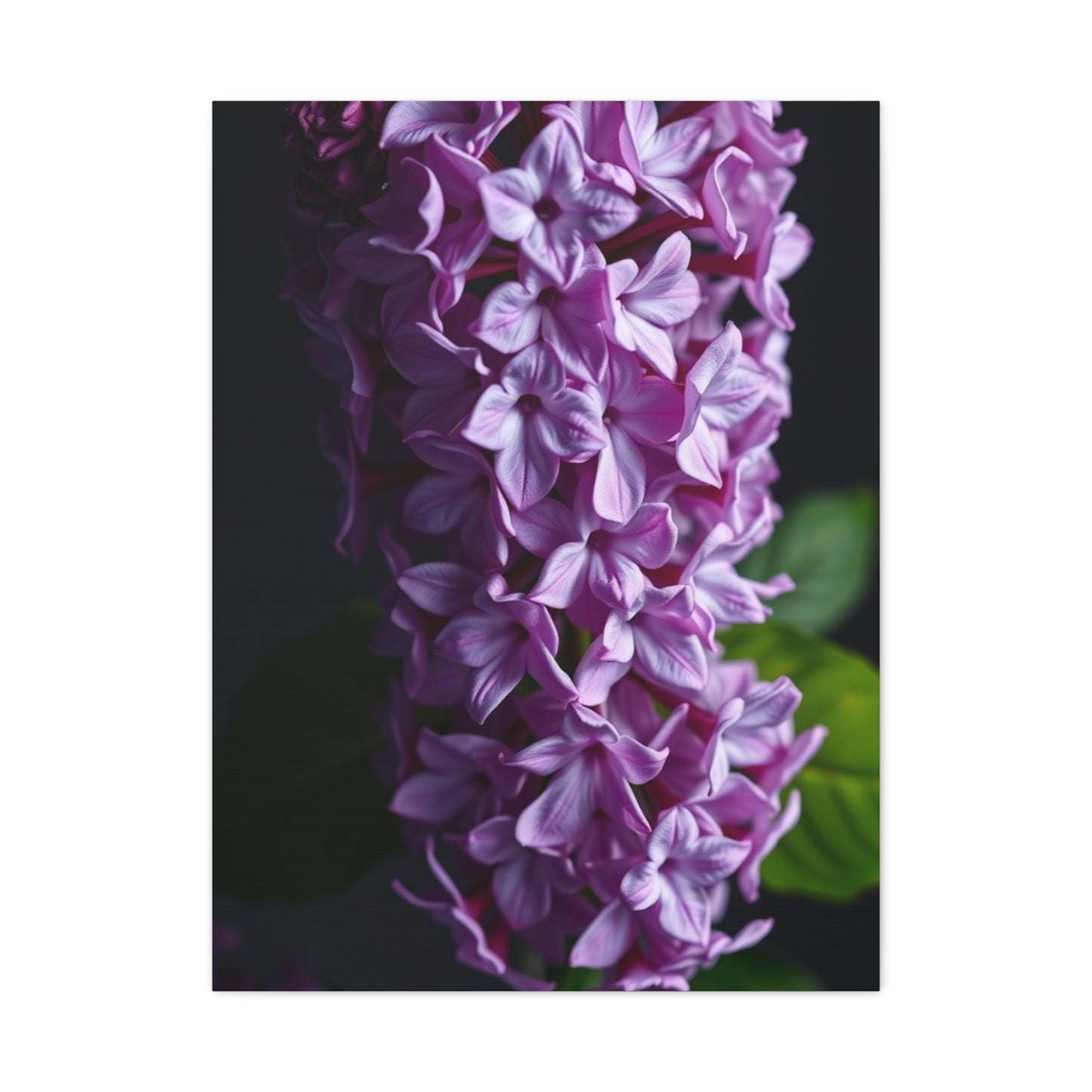Lilac Flower Art Luxury Canvas Wall Art & Canvas Print