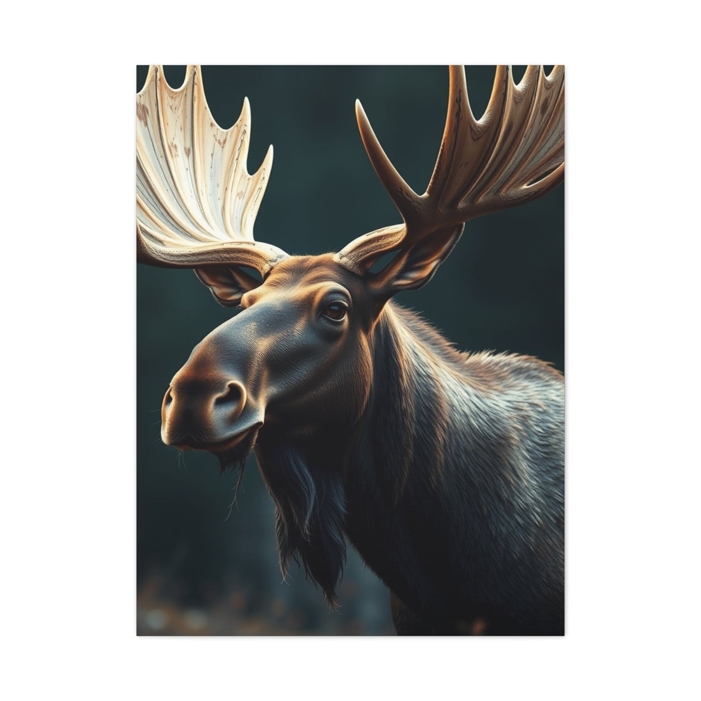Moose Art Refined Canvas Wall Art & Canvas Print