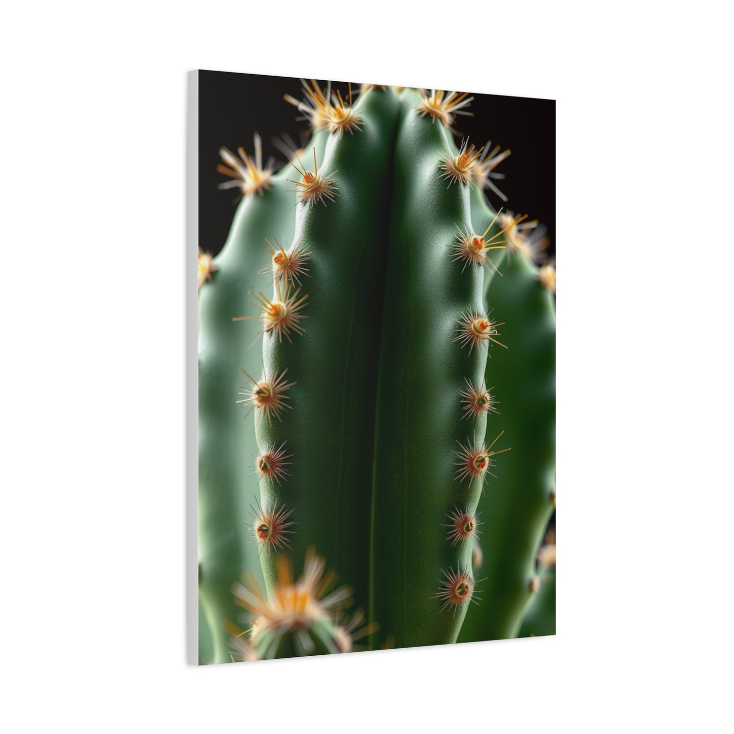 Arid Majesty Canvas Wall Art & Canvas Print