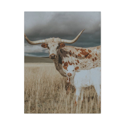 Wild Buffalo Family Longhorn Photos Wall Art & Canvas Prints