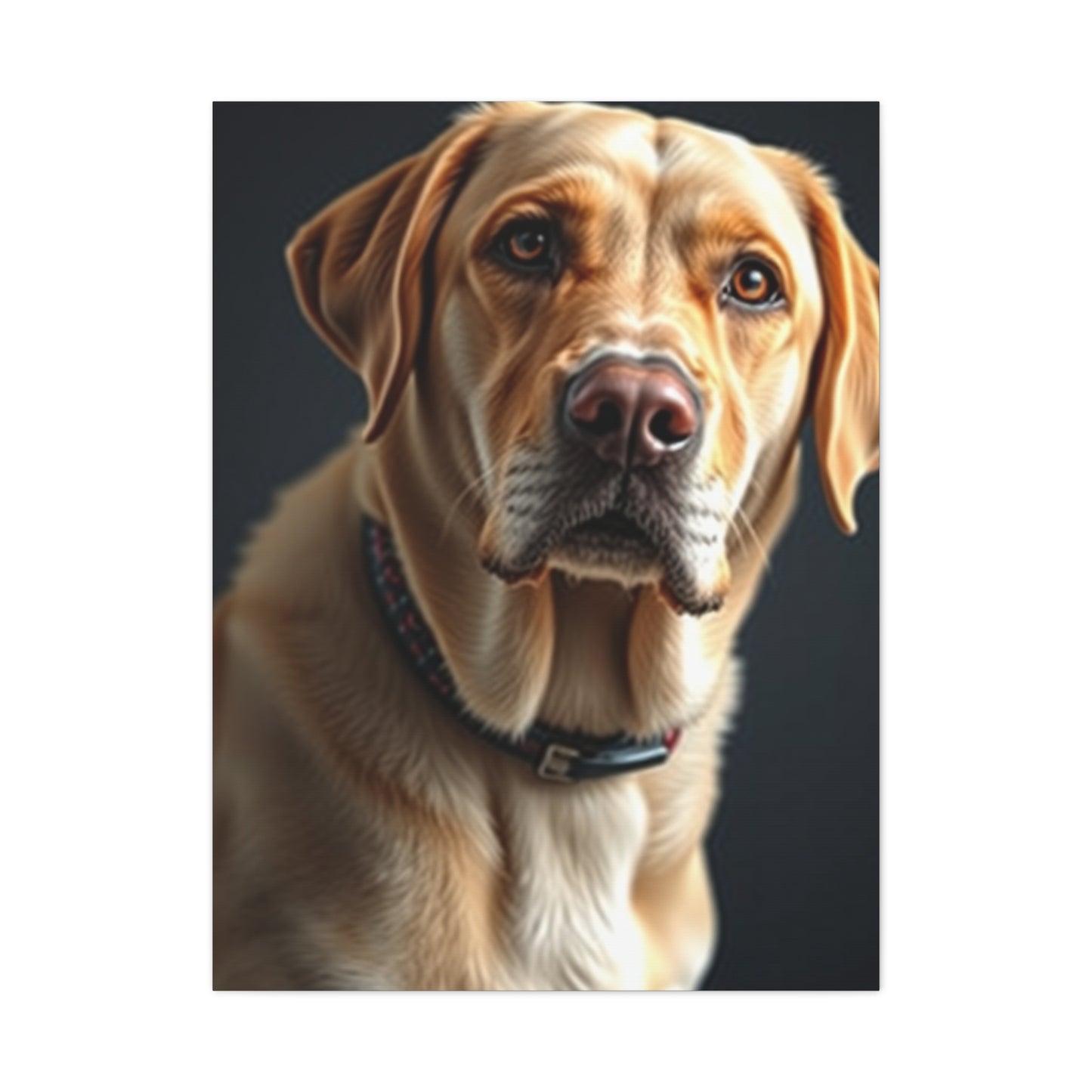 Elite Labrador Retriever Art Vision Wall Art & Canvas Print