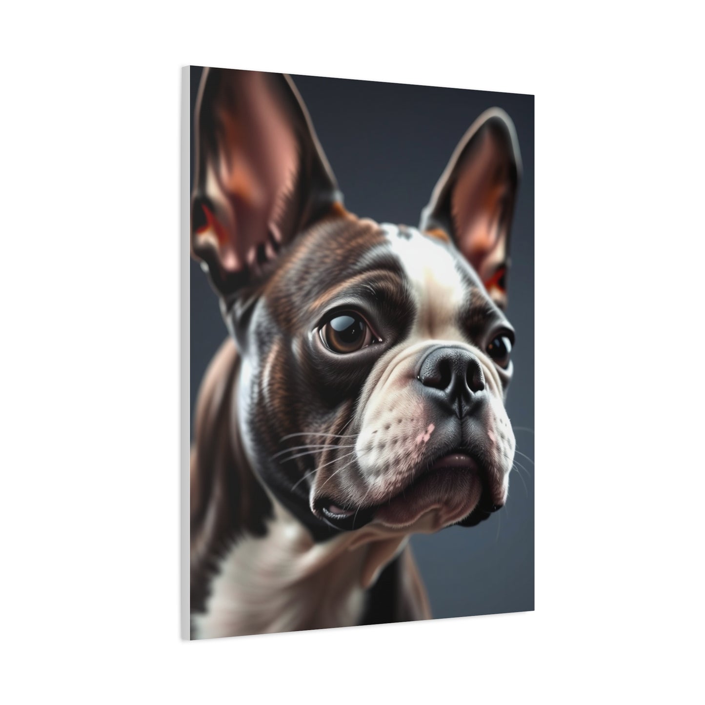 Boston Terrier Art Refined Canvas Wall Art & Canvas Print