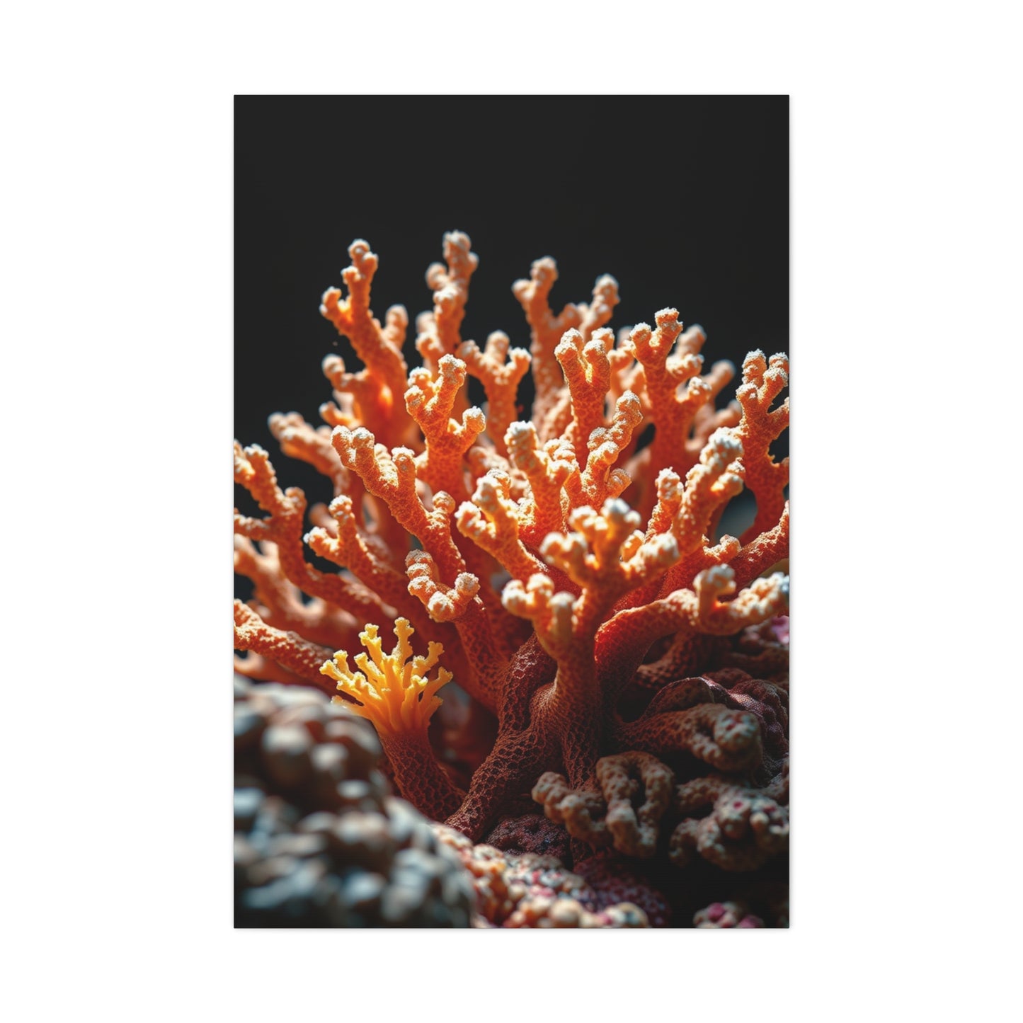 Coral Art Refined Canvas Wall Art & Canvas Print