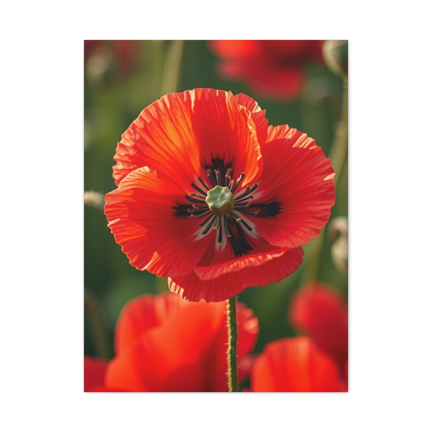 Vision Poppy Flower Art Art Wall Art & Canvas Print