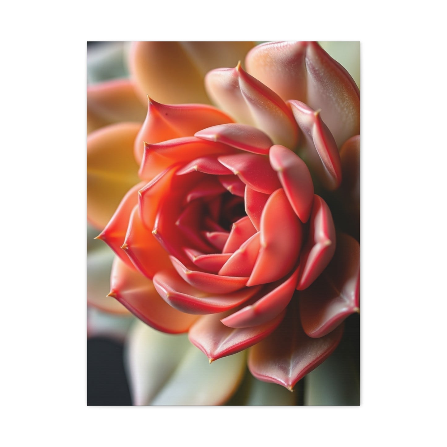 Elite Succulent Art Vision Wall Art & Canvas Print