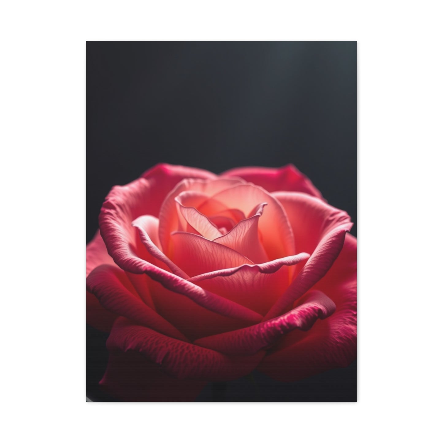 Rose Flower Art Supreme Gallery Wall Art & Canvas Print