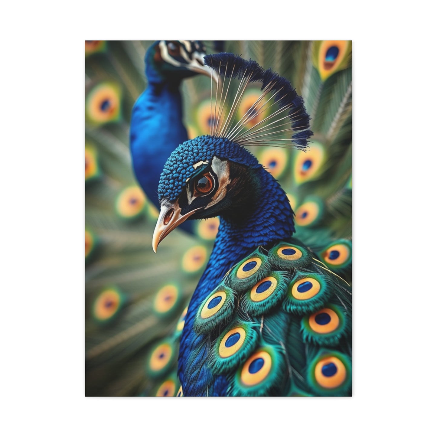 Supreme Peacock Art Collection Wall Art & Canvas Print