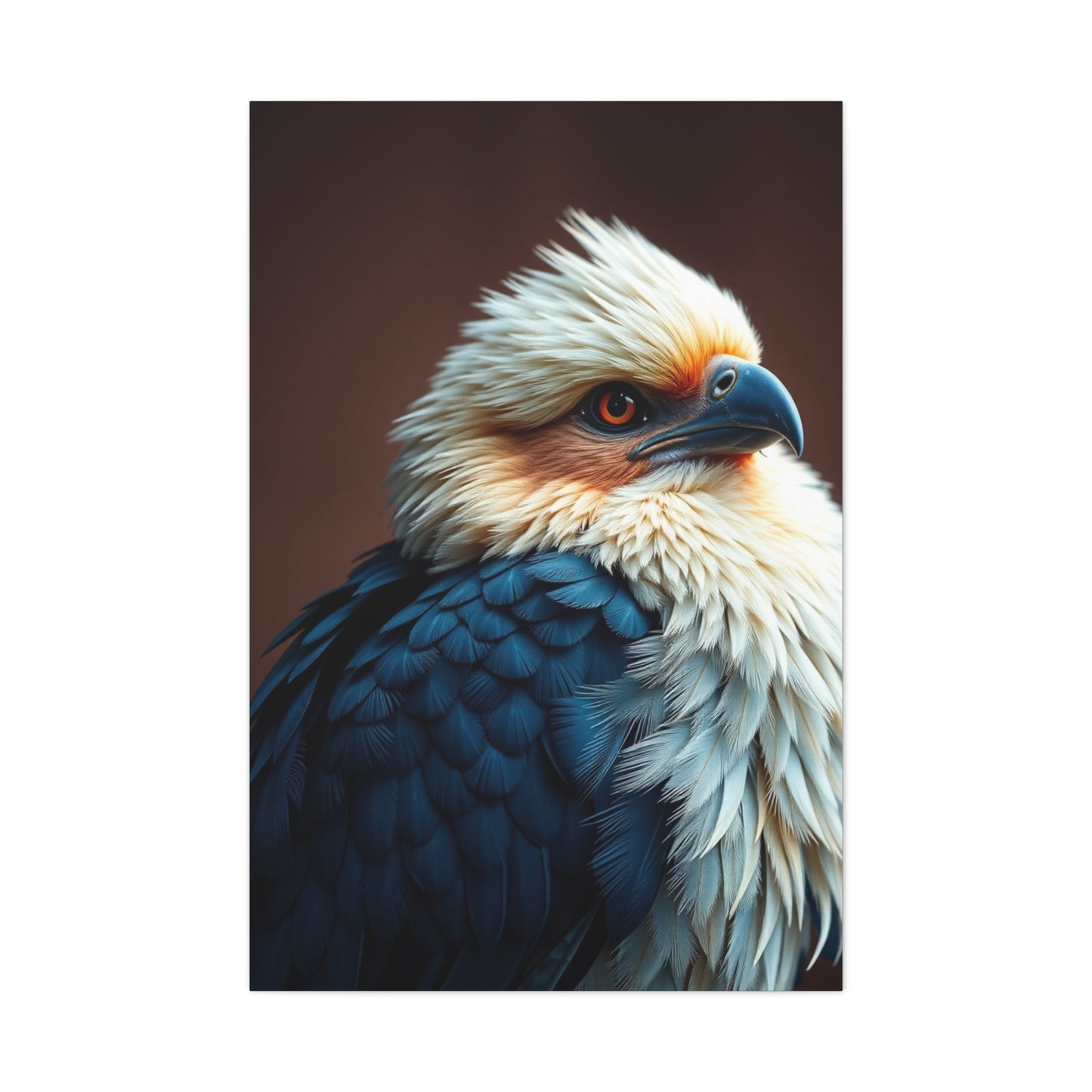 Aerial Ballet Composition Wall Art & Canvas Print