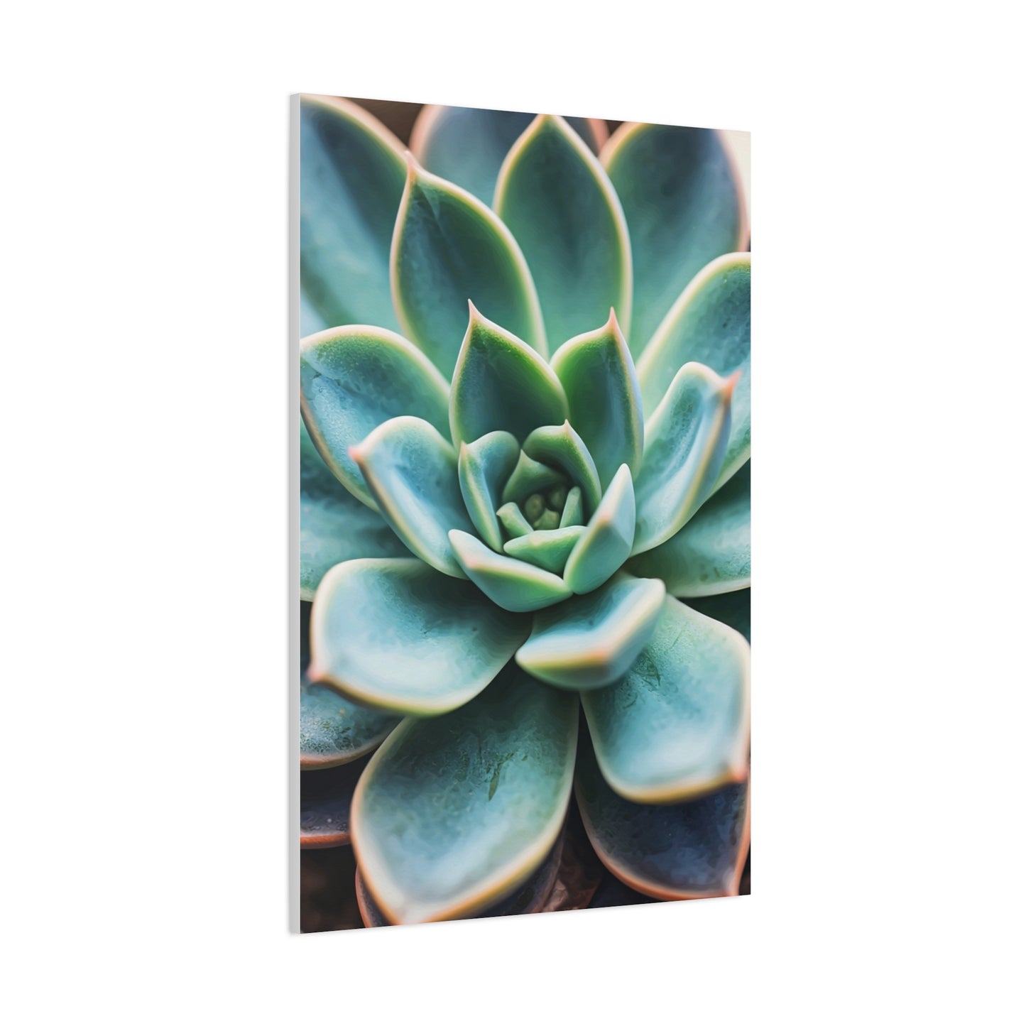 Sage Succulent Bloom Wall Art & Canvas Prints