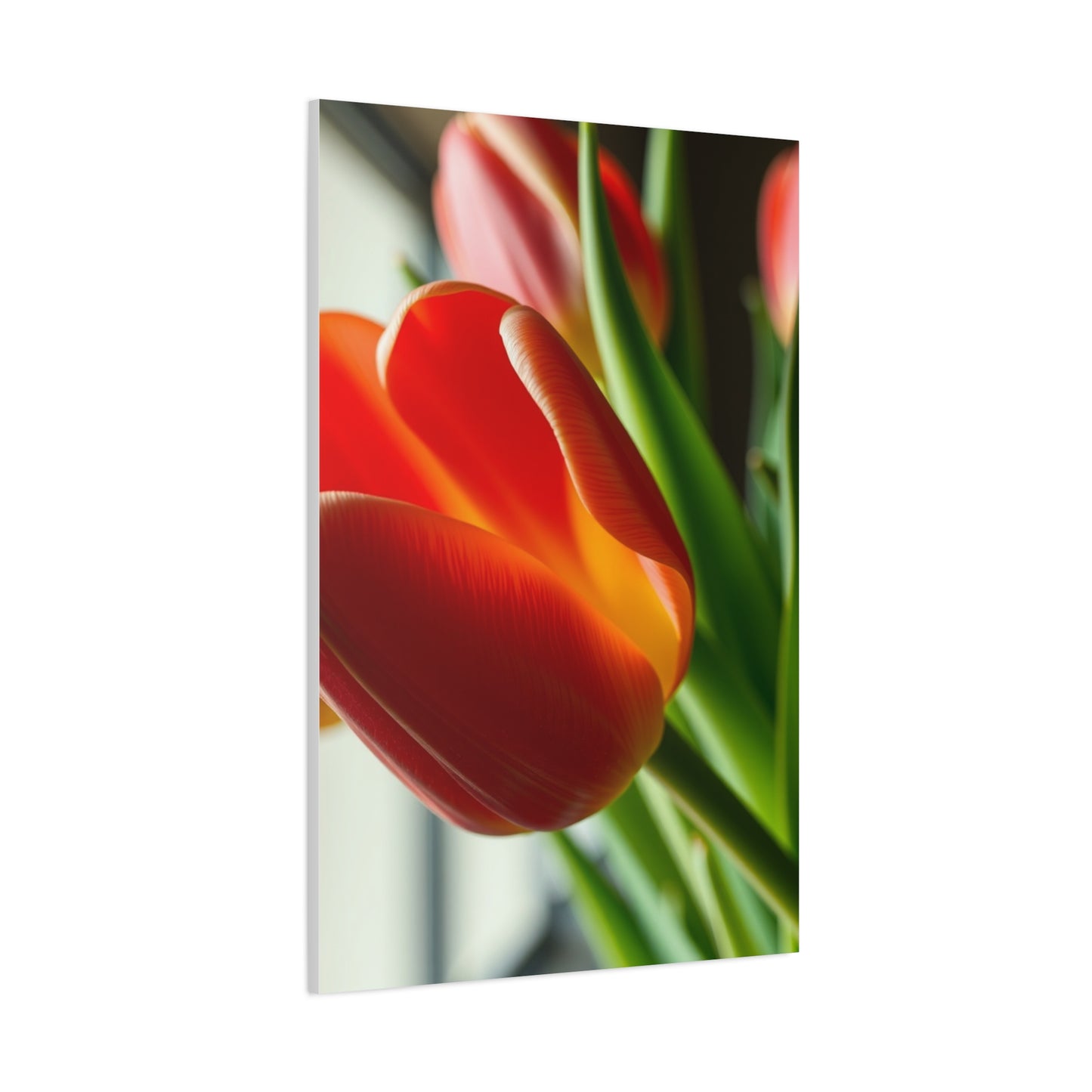 Supreme Tulip Flower Art Collection Wall Art & Canvas Print