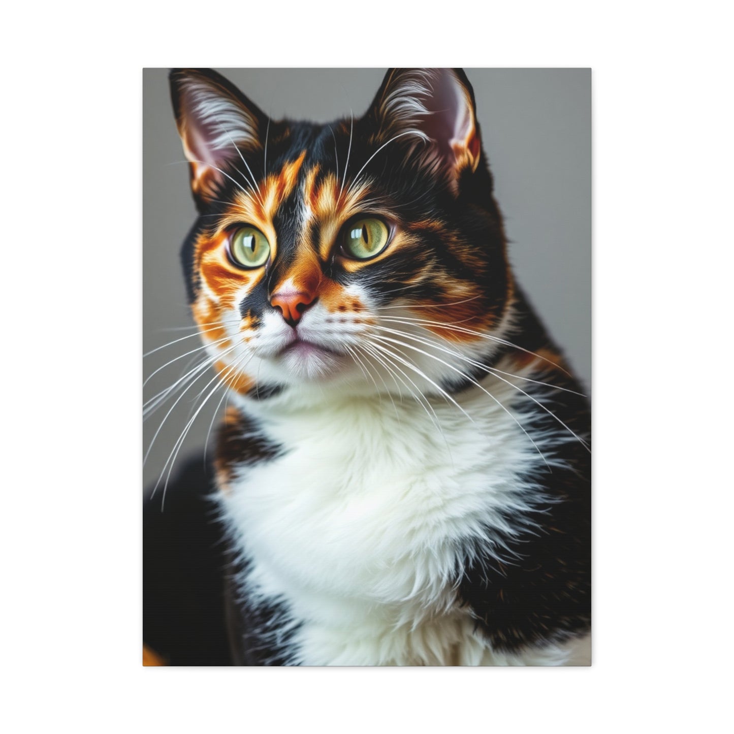 Calico Cat Art Supreme Gallery Wall Art & Canvas Print