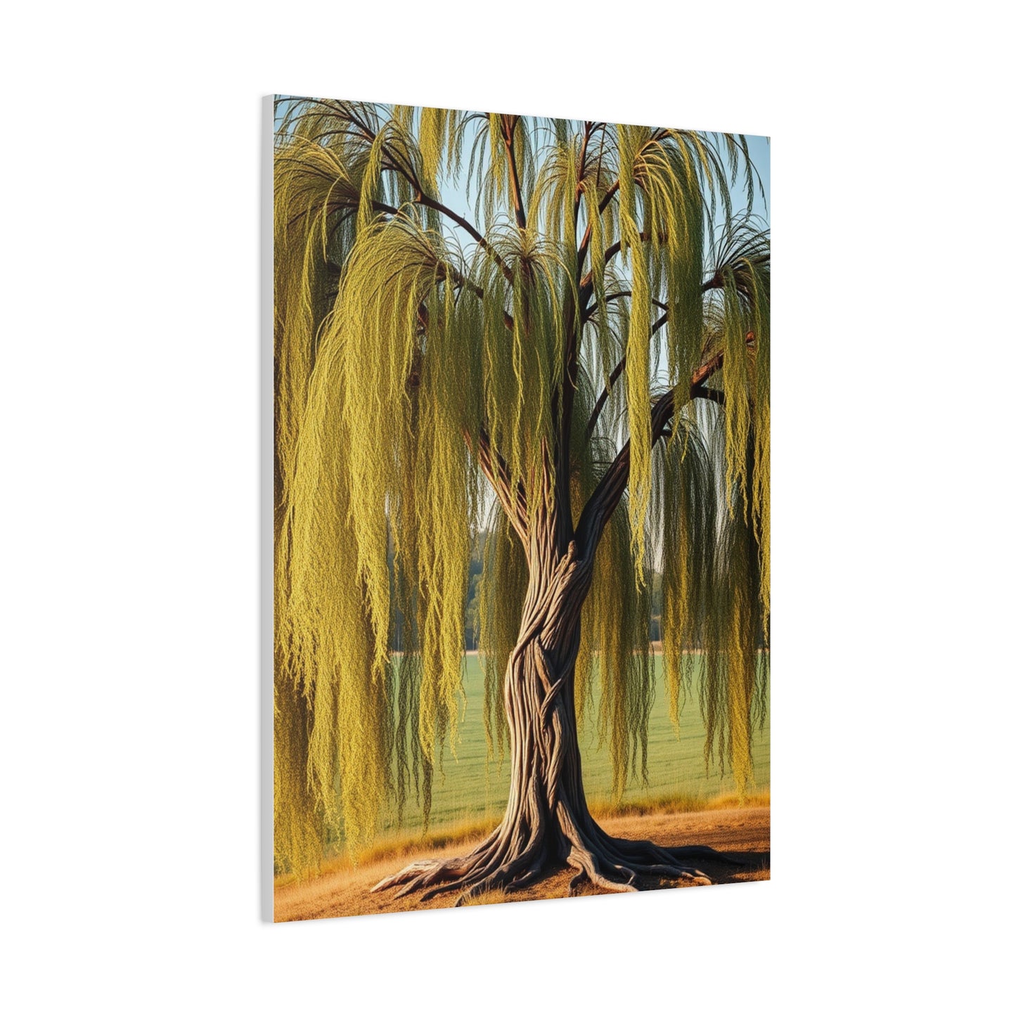 Supreme Willow Tree Art Collection Wall Art & Canvas Print