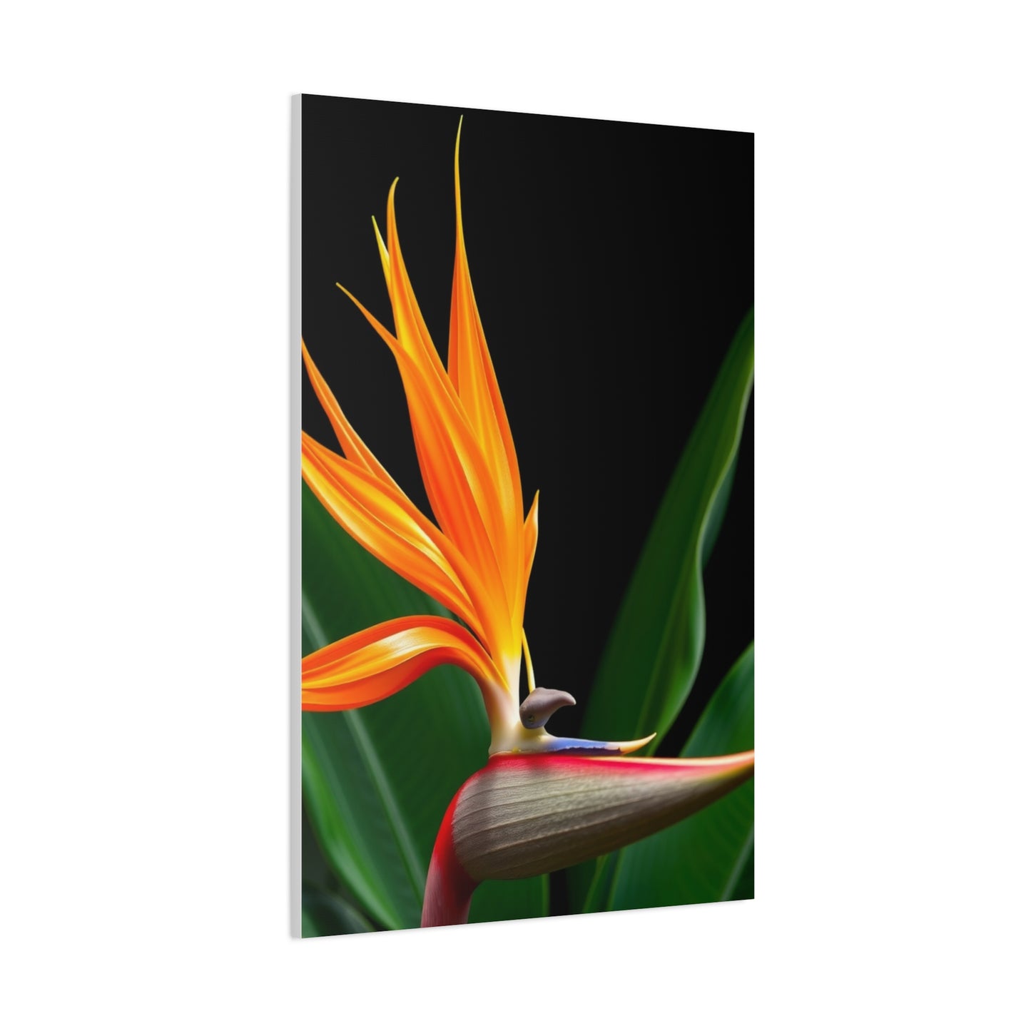 Bird of Paradise Plant Art Refined Canvas Wall Art & Canvas Print