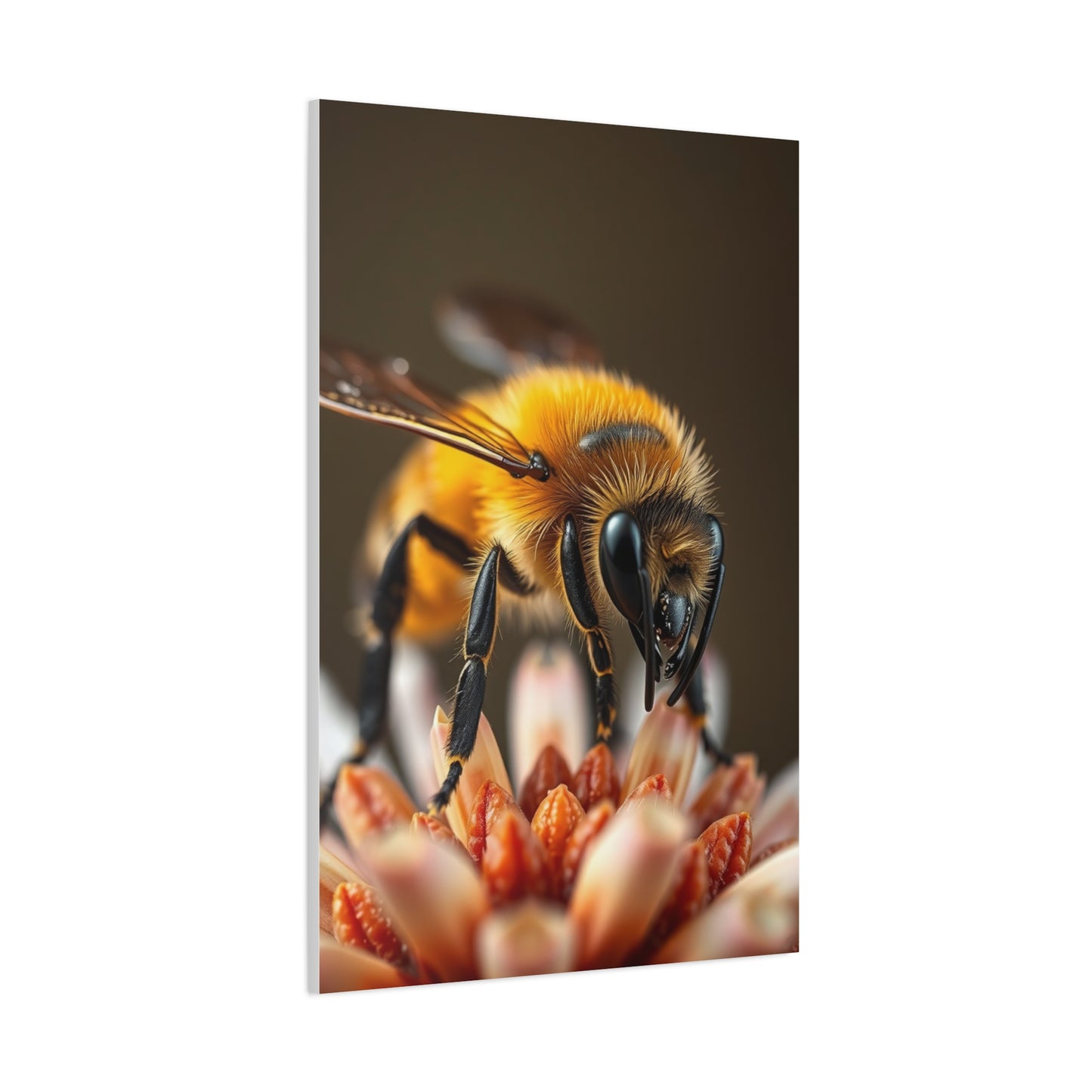 Supreme Bees Art Collection Wall Art & Canvas Print