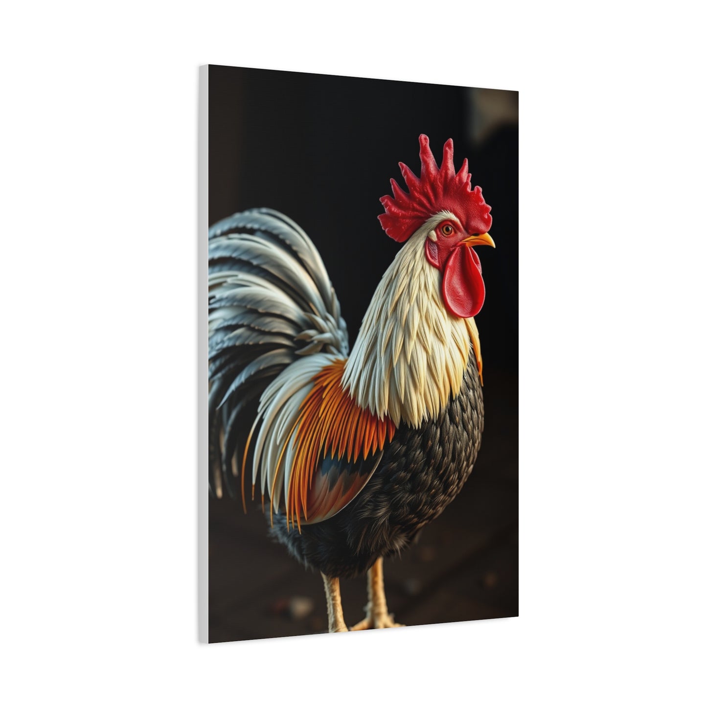 Ornate Avifauna Gallery