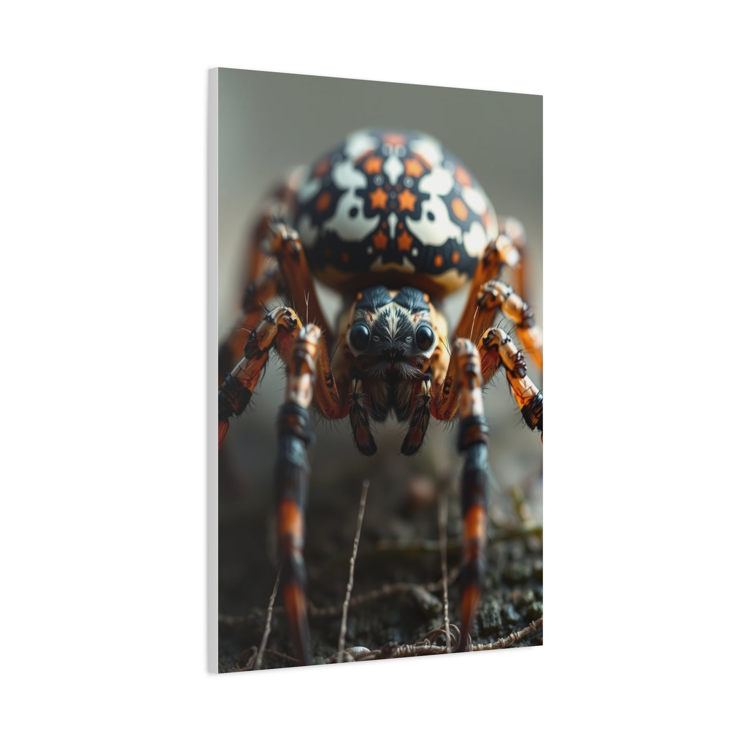 Elite Spiders Art Vision Wall Art & Canvas Print