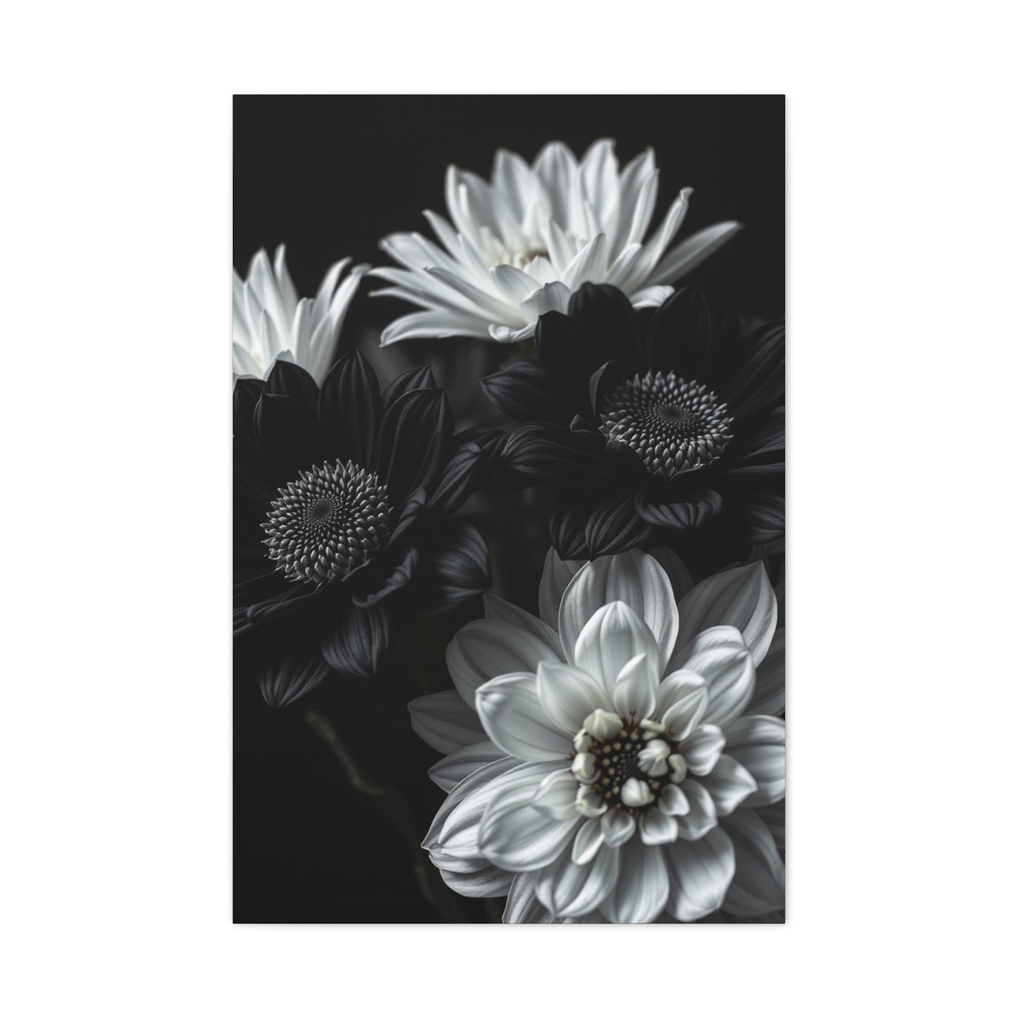 Monochrome Bloom Elegance Wall Art & Canvas Print