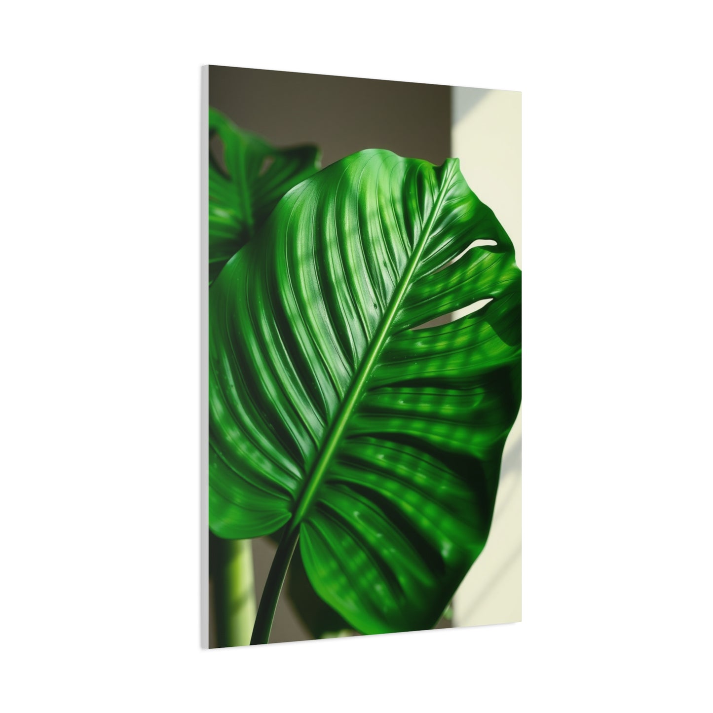 Supreme Monstera Plant Art Collection Wall Art & Canvas Print