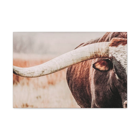 Old Hairy Bull Long Horns Wall Art & Canvas Prints