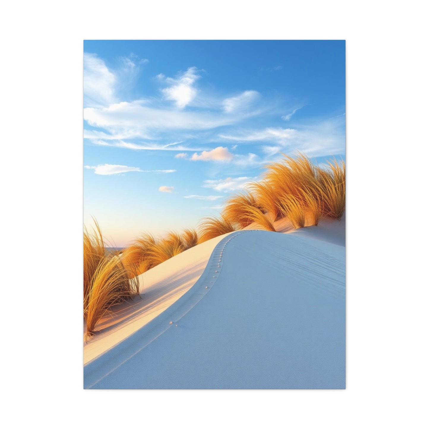 Coastal Sand Dunes Art Supreme Gallery Wall Art & Canvas Print