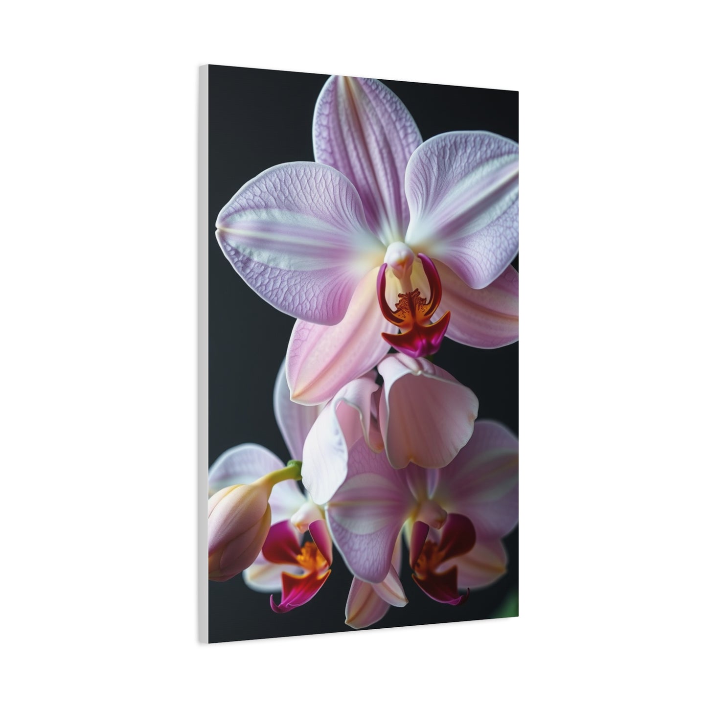Collection Orchid Flower Art Art Wall Art & Canvas Print