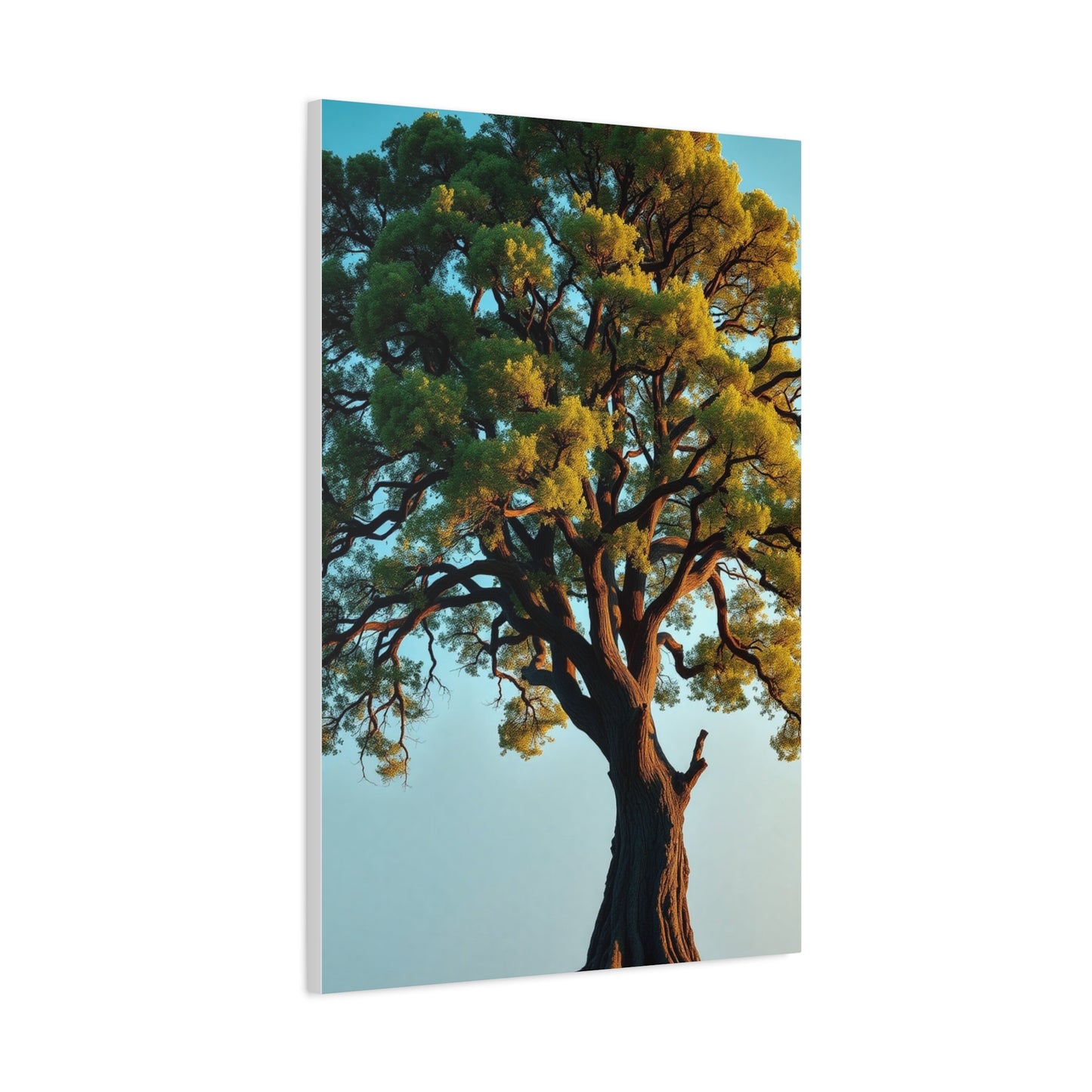 Oak Tree Art Supreme Gallery Wall Art & Canvas Print