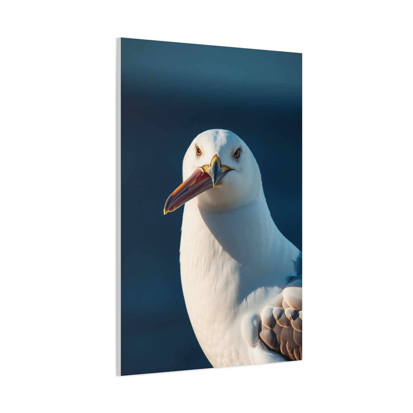 Elite Sea Gull Art Vision Wall Art & Canvas Print