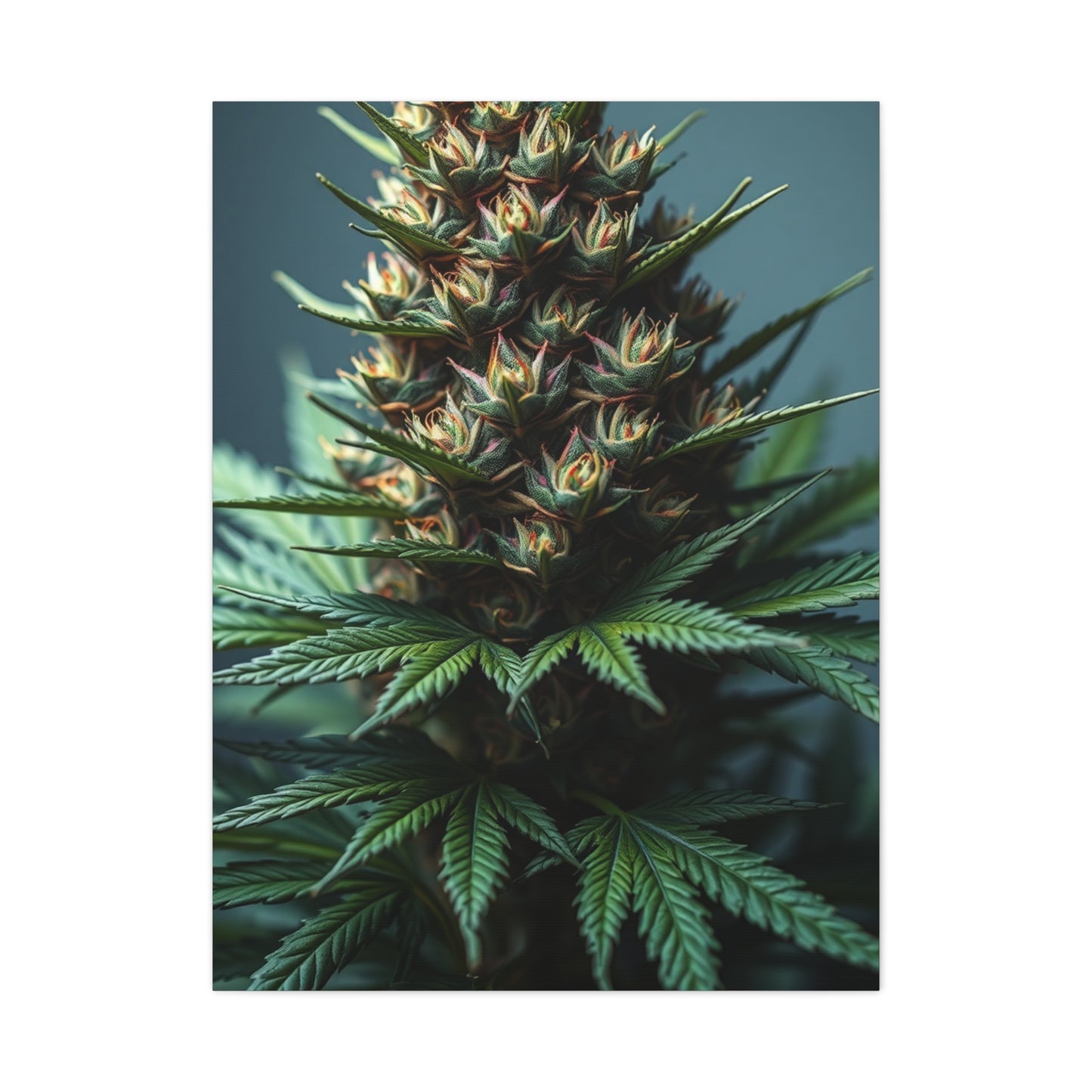 Emerald Reverie Art Wall Art & Canvas Print