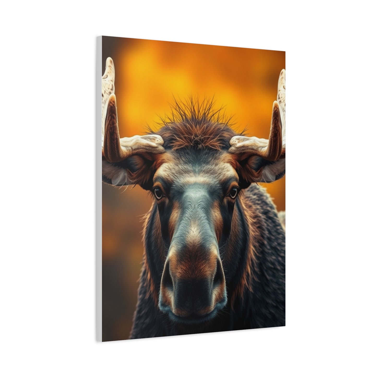 Supreme Moose Art Collection Wall Art & Canvas Print