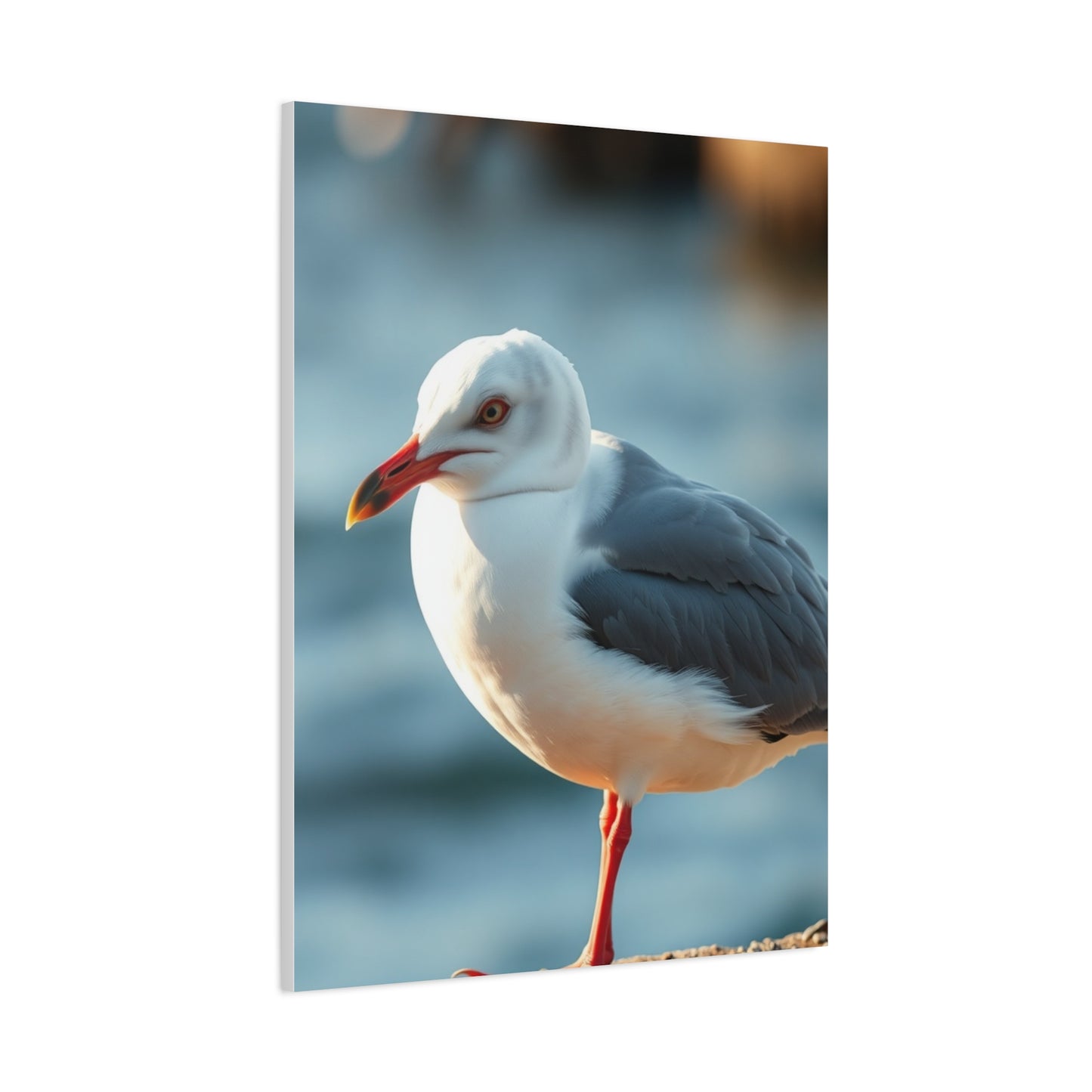 Supreme Sea Gull Art Collection Wall Art & Canvas Print