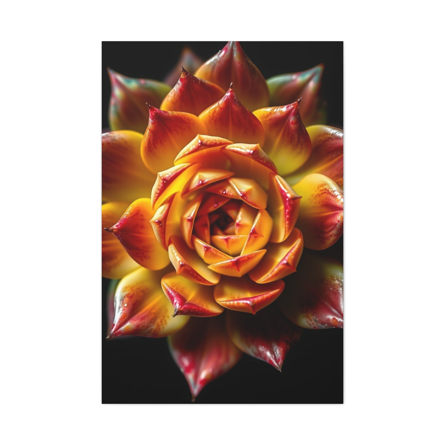 Supreme Succulent Art Collection Wall Art & Canvas Print