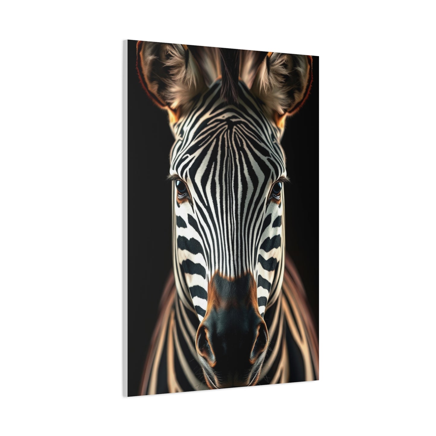 Supreme Zebra Art Collection Wall Art & Canvas Print