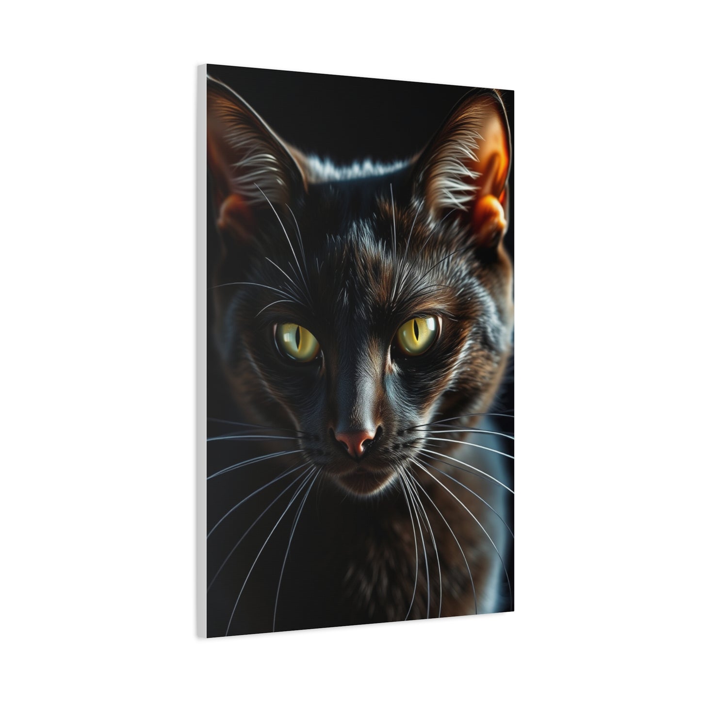 Vision Black Cat Art Art Wall Art & Canvas Print