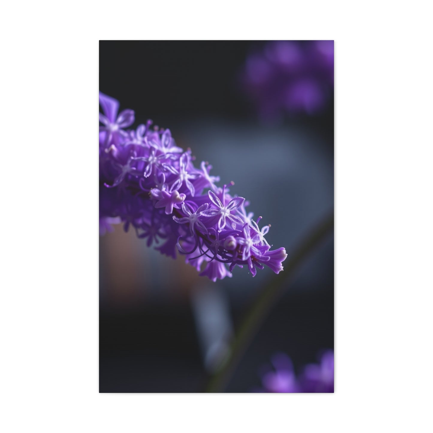 Divine Indigo Expression Wall Art & Canvas Print