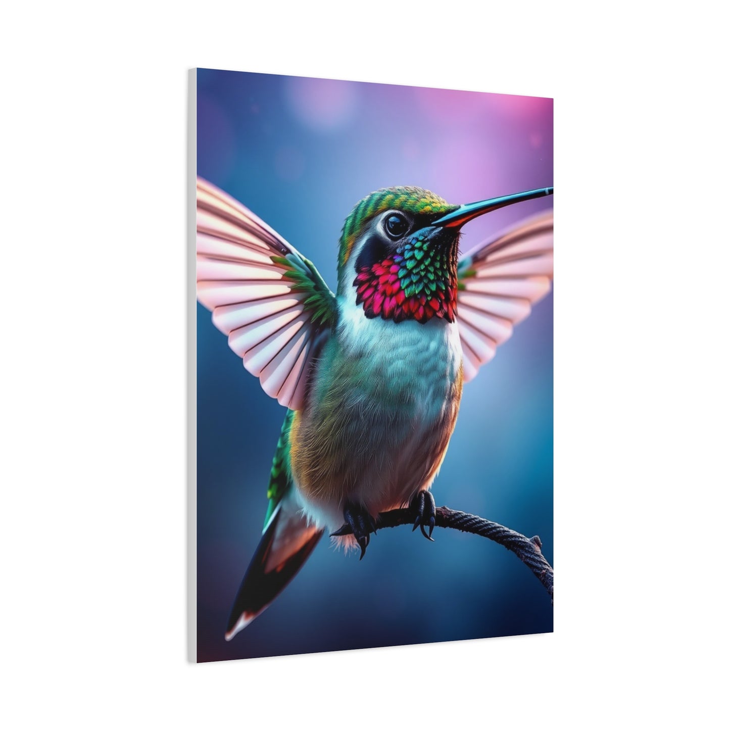 Humming Bird Art Luxury Canvas Wall Art & Canvas Print