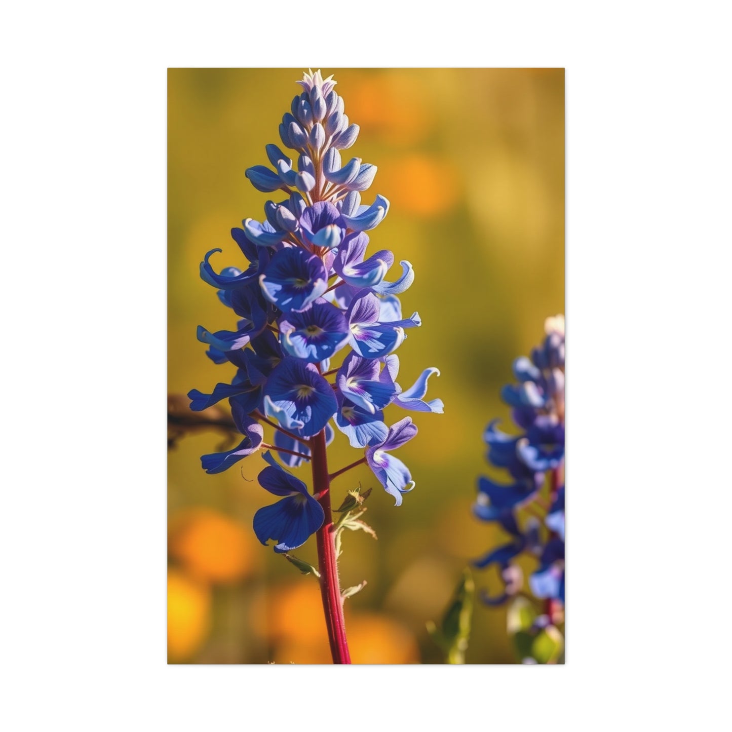 Bluebonnet Flower Art Luxury Canvas Wall Art & Canvas Print