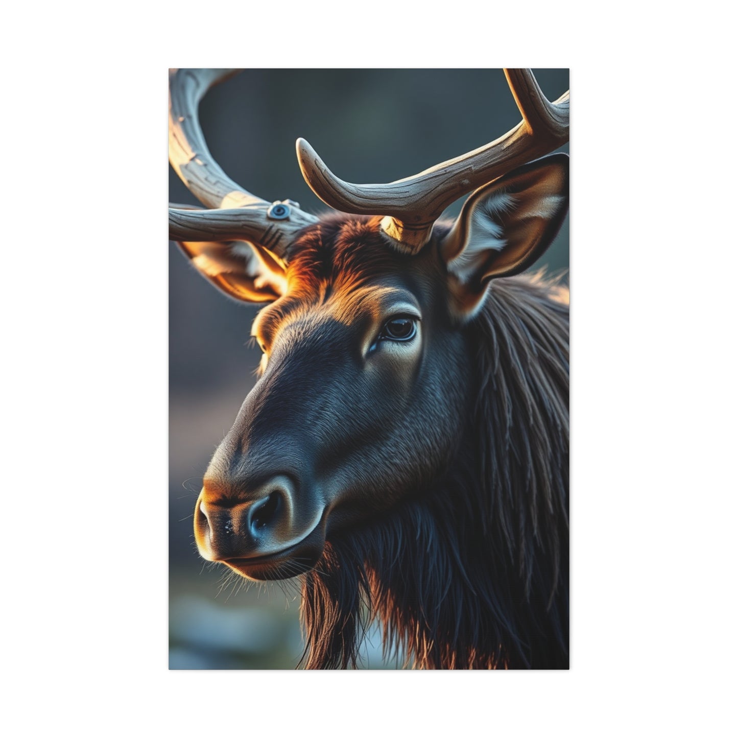 Elk Art Supreme Gallery Wall Art & Canvas Print