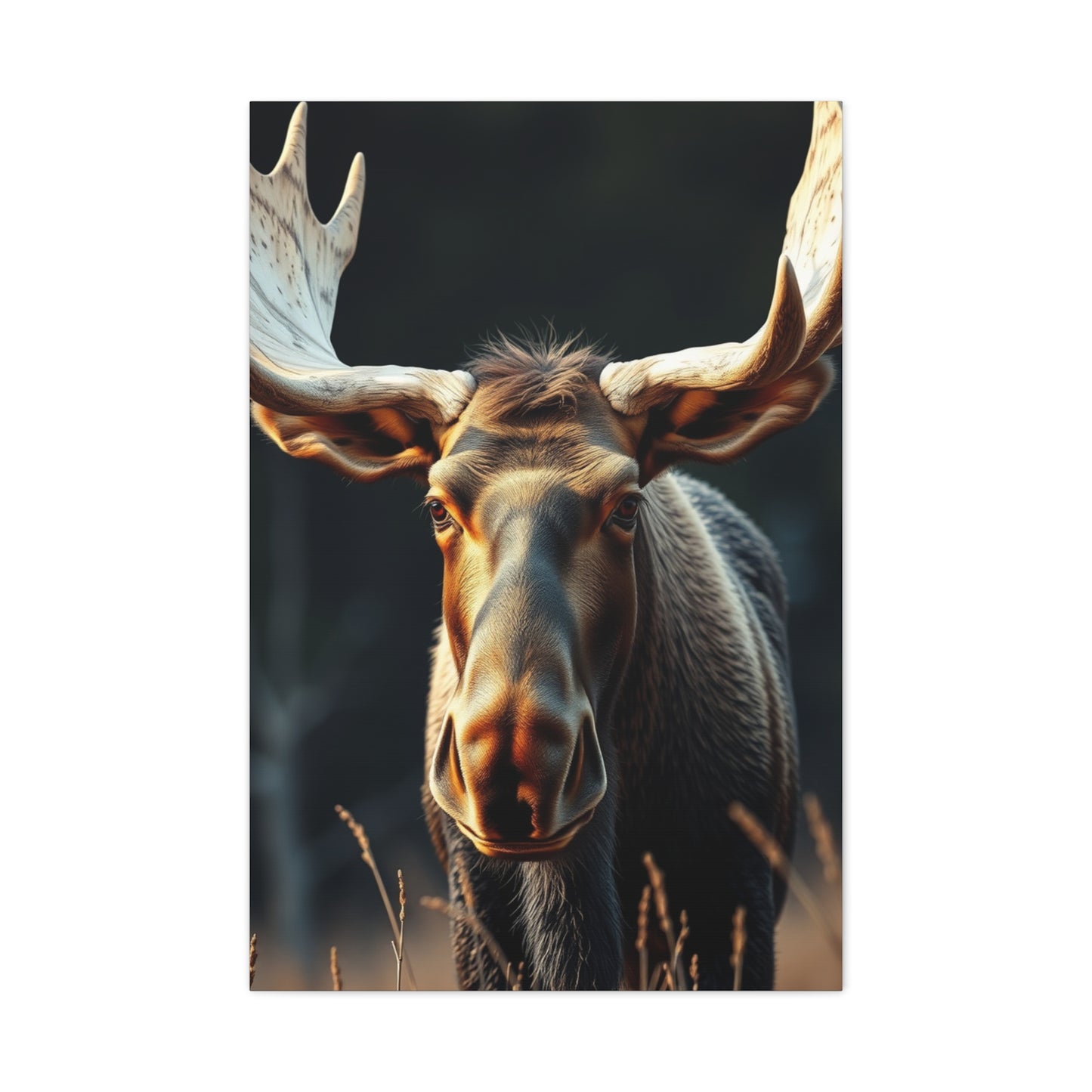 Moose Art Supreme Gallery Wall Art & Canvas Print