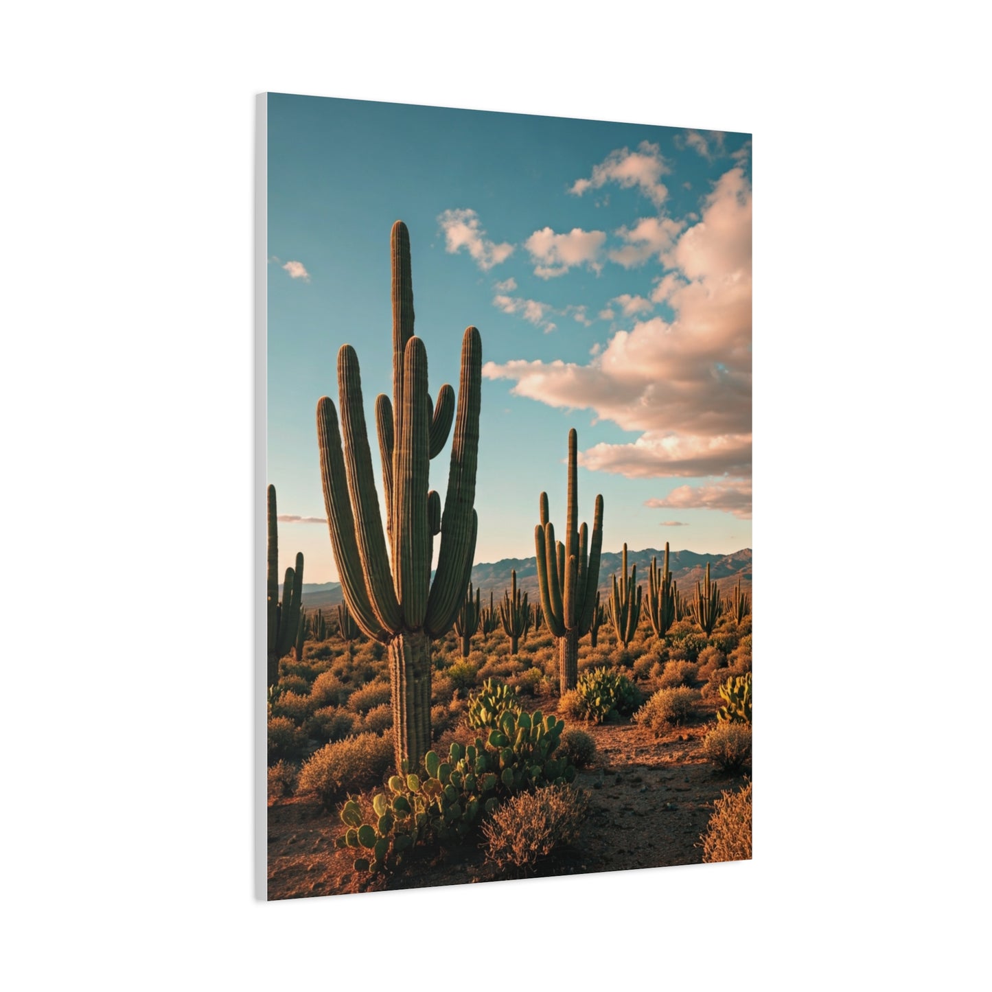Golden Desert Saguaro Panorama Wall Art & Canvas Prints