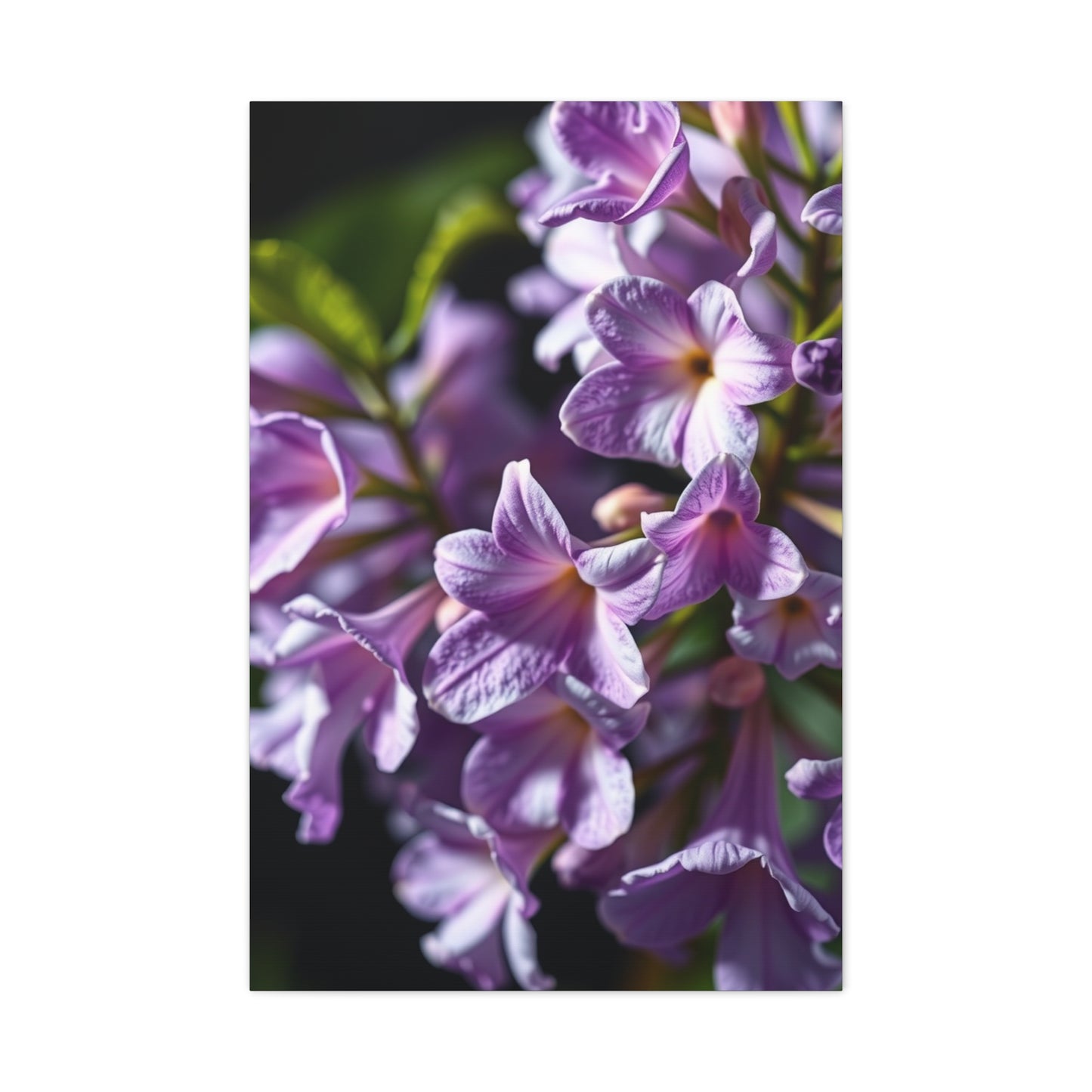 Vision Lilac Flower Art Art Wall Art & Canvas Print