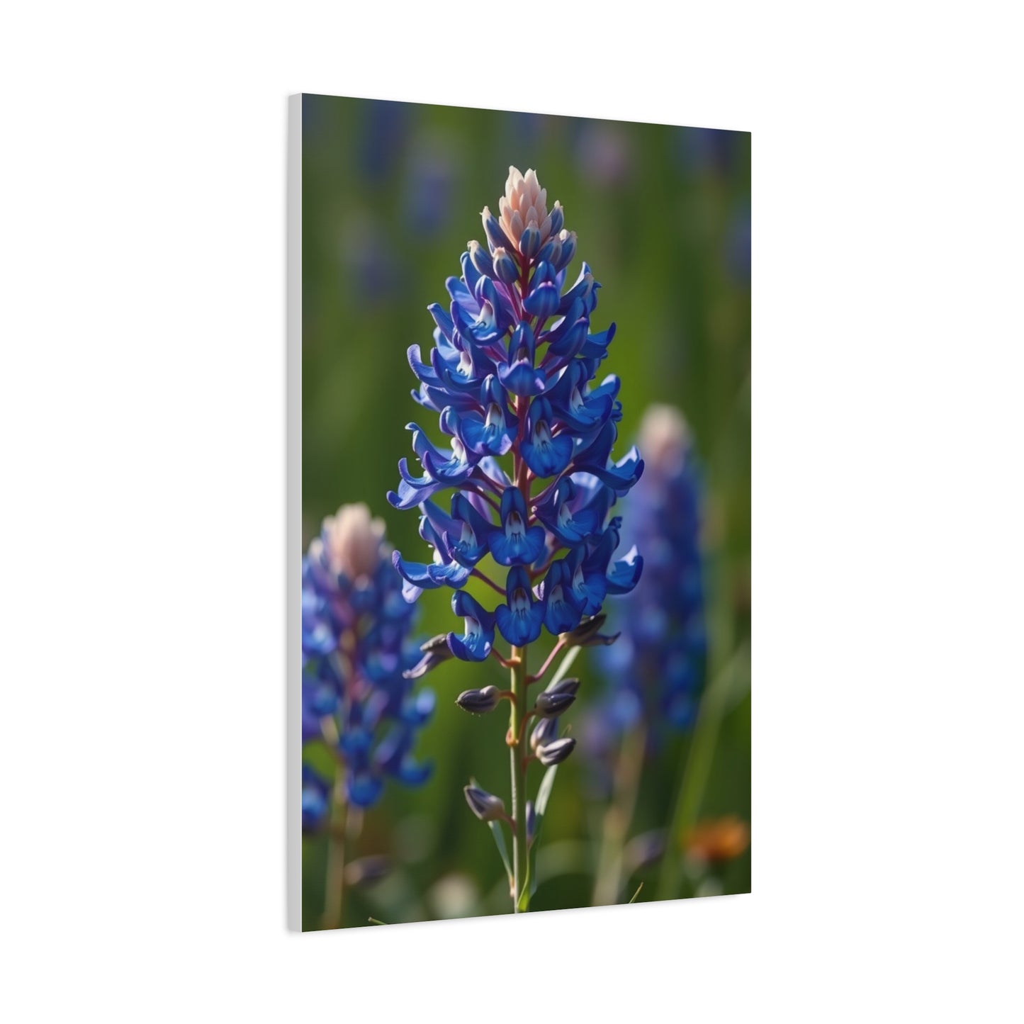 Bluebonnet Flower Art Refined Canvas Wall Art & Canvas Print