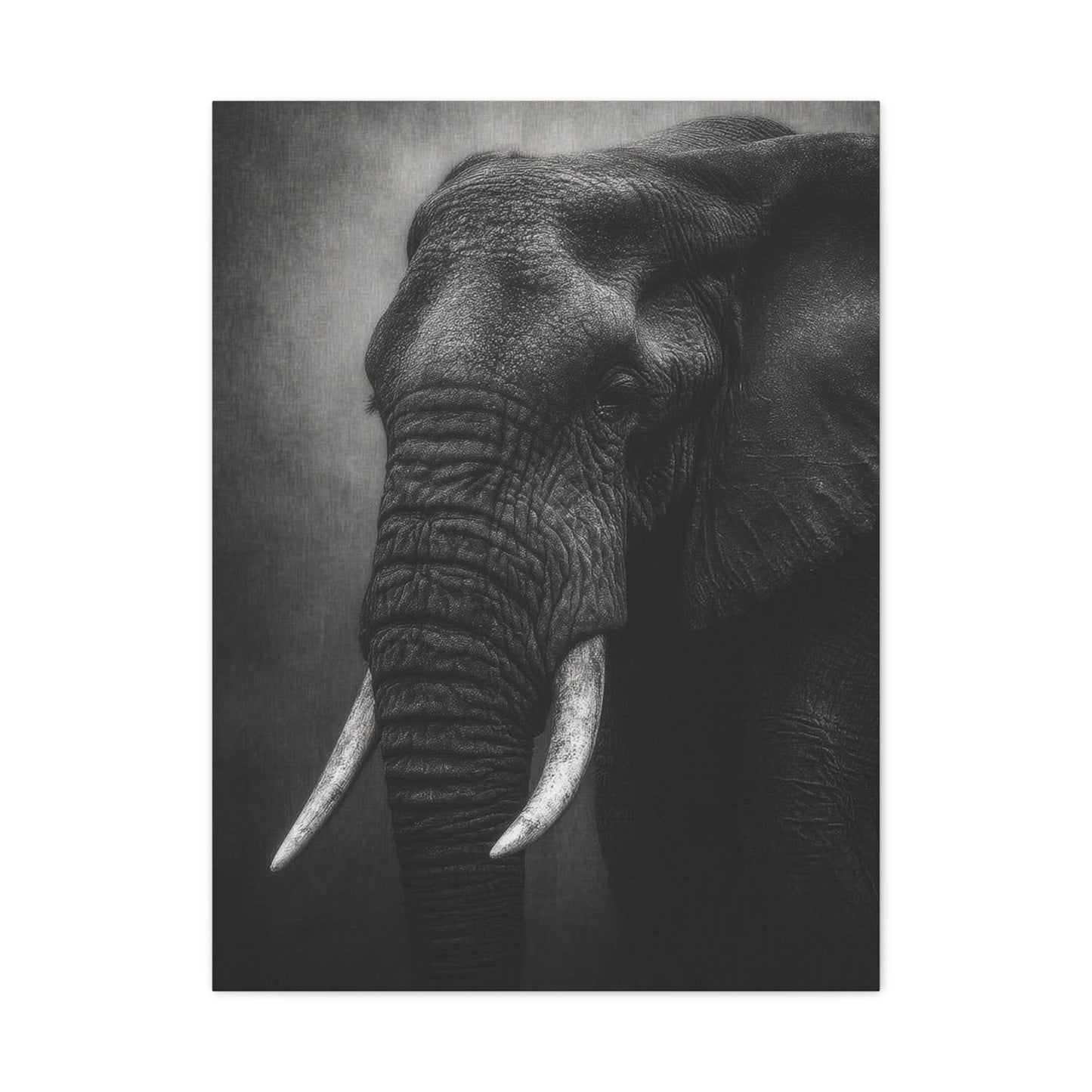 Monochrome Elephant Fine Art Portrait Wall Art & Canvas Print