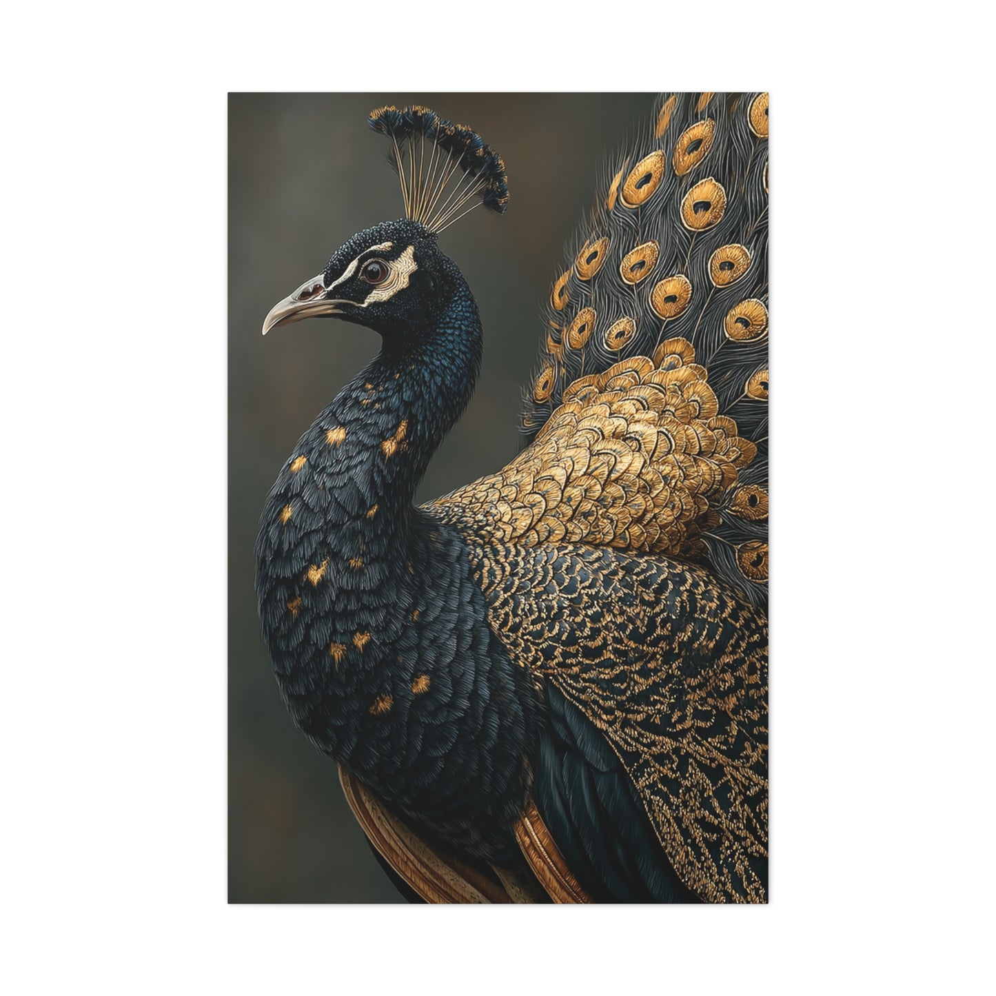 Black and Gold Peacock Elegance Wall Art & Canvas Print