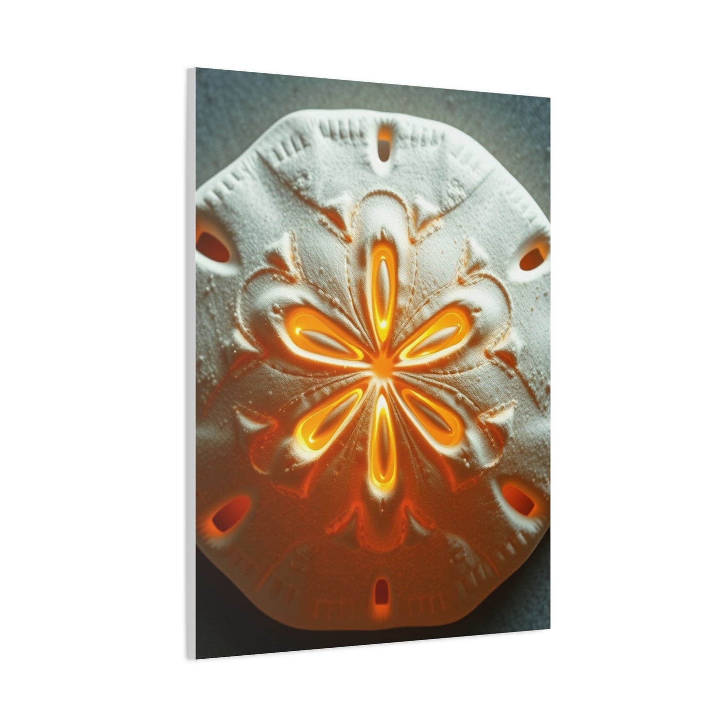 Elite Sand Dollar Art Vision Wall Art & Canvas Print