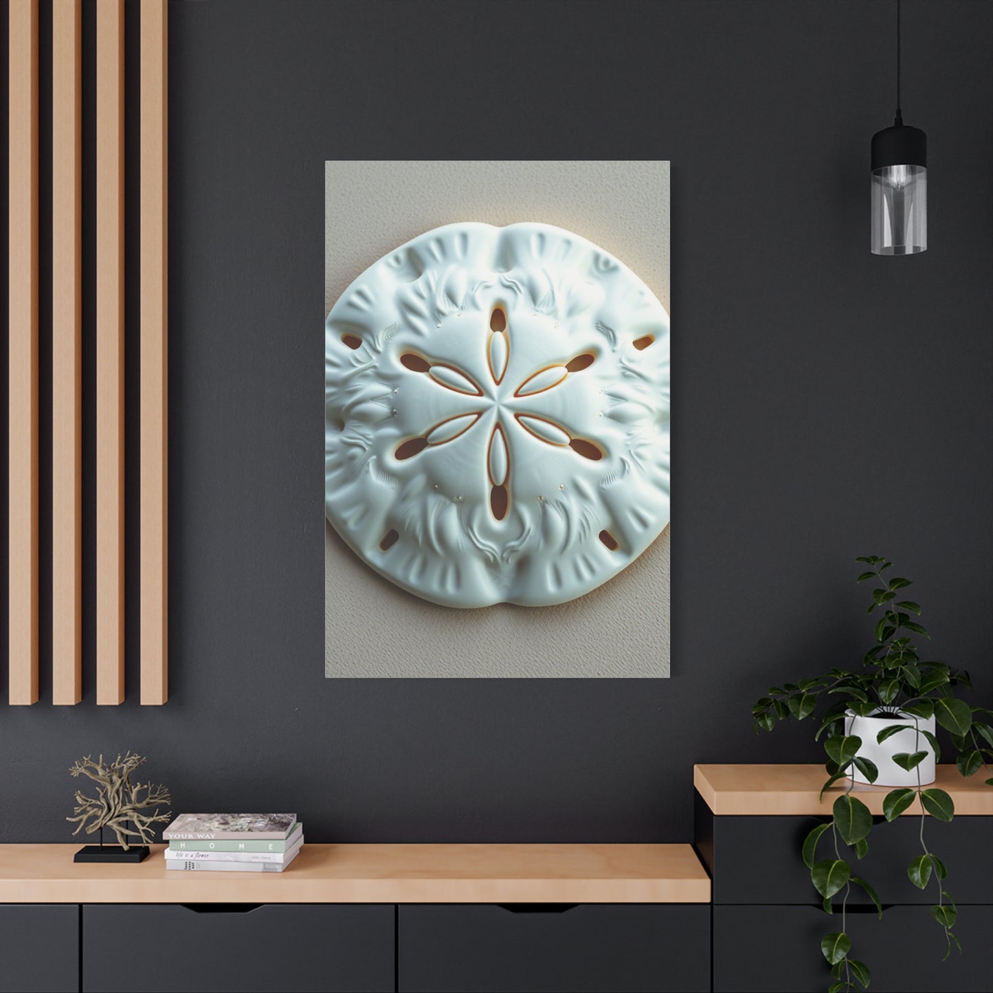 Sand Dollar Art Luxury Canvas Wall Art & Canvas Print